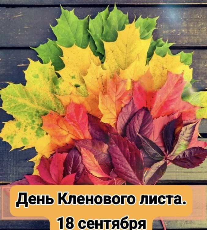 img (1)
